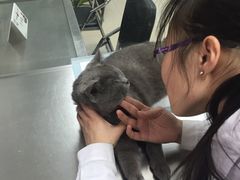 -康乐宝动物医院