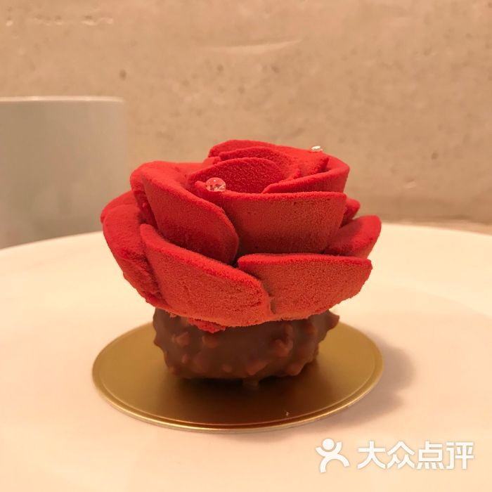 沙漠之花