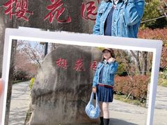 -高东镇樱花园