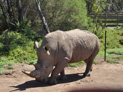 -威勒比开放式动物园