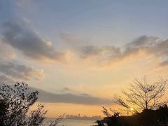 -深圳湾公园(南山区)