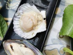 扇贝-丽江庭院·云南野生菌·海鲜火锅(鼓楼四合院店)
