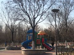 -大兴滨河森林公园