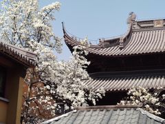 -灵谷景区