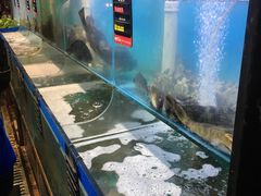 水产区-船梆煮•蒸汽海鲜·生腌干蒸(五四广场店)