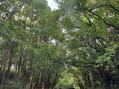 -动邦皮划艇·桨板·独木舟·团建户外运动俱乐部