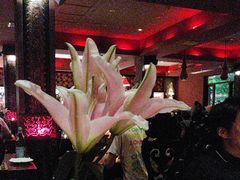 -花马天堂云南餐厅 Lost Heaven(外滩店)