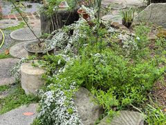 -谷咖啡·鲜花绿植花园餐厅