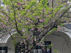 -湖南省立第一师范学校旧址