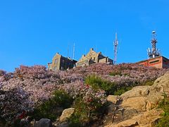 -泰山风景名胜区