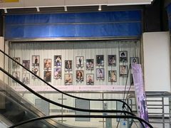 -舞蕾舞蹈(特长生校区)