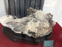 -房山世界地质公园博物馆