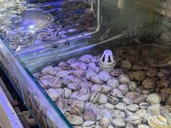 -四海蒸鲜蒸汽海鲜自助(北戴河店)