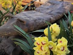 -三锅莊·牦牛肉火锅·香格里拉特色藏餐宴请餐厅(菱角塘路店)