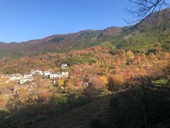 -塔川景区