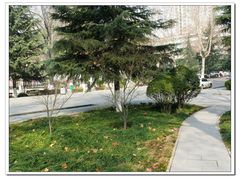 -陕西师范大学(雁塔校区)