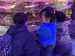 -沈阳海洋探索中心