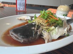 -横行八道海鲜(裕廊西店)