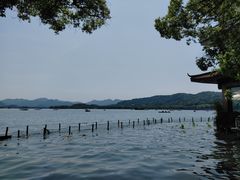 -湖畔居茶楼(湖滨店)