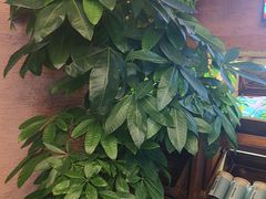 -云海肴·汽锅鸡·云南代表菜(天山百盛优客店)