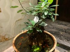 -南堂館川菜文化餐厅(天府店)