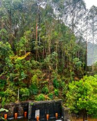 -爱丽馨御景月子中心