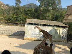 -泉州海丝野生动物世界