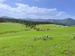 -新疆那拉提国家旅游度假区