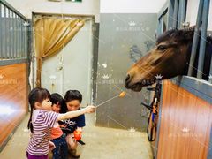 -骑乐马术(广州奥体优托邦中心)