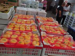 -西郊国际农产品交易中心