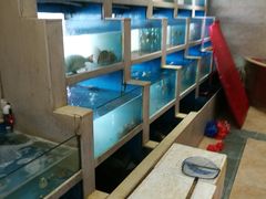 水产区-丰收渔港饭店(嵊泗店)