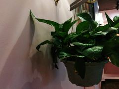 -SIX电竞·卓威600hz(闽江二路店)