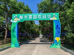 -上海都市菜园