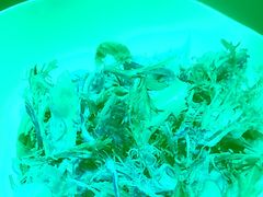 -忆江南·临江鱼馆