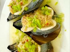 带子-老三鱼仔店