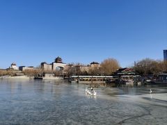 -莲花池公园