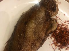 -芭菲盛宴·环球美食(锦城万达广场店)