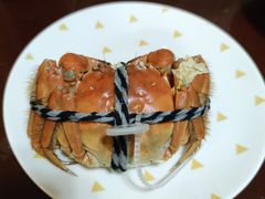 -阳澄湖大闸蟹·琼灵阁牌品牌连锁(吴中总店)