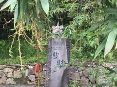 -都江堰中华大熊猫苑