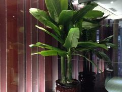 iphone_upload_pic-香满楼(清水河路店)