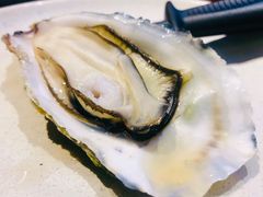 -千岛蚝高压锅生蚝·人参火锅(白云万达店)