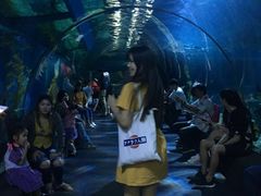 -暹罗海洋世界