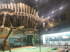 -国家自然博物馆
