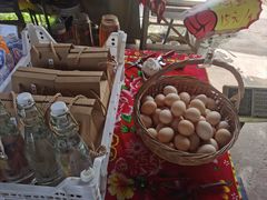 -马陆小张葡萄园农家乐