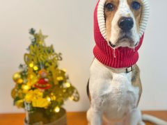 -DQ·蛋糕·冰淇淋(嘉兴南湖万达店)