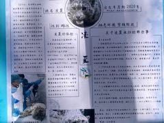 -青藏高原野生动物园