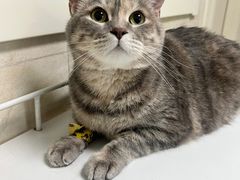 -酷宠动物医院(天通西苑店)