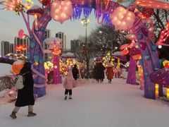 -沈阳奥体冰雪嘉年华