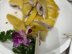 -品泉餐厅·大盆鱼·走地鸡