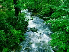 -洛阳白云山景区
